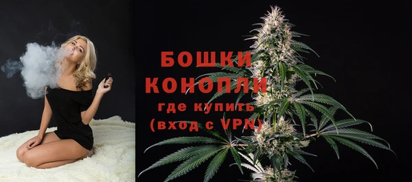 тгк Бронницы
