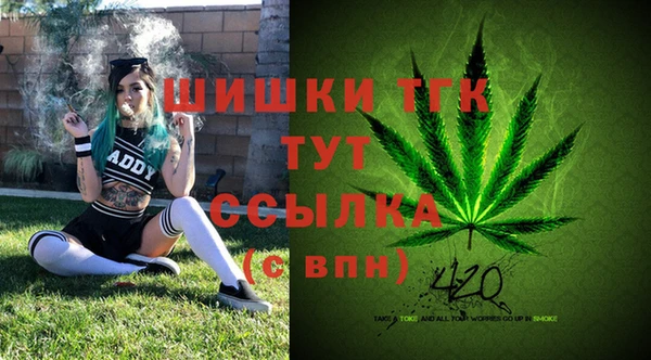 тгк Бронницы