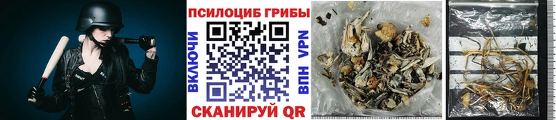 Галлюциногенные грибы GOLDEN TEACHER  Купить где  Новодвинск 