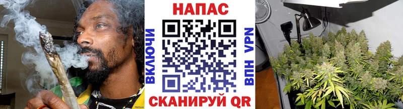 Бошки марихуана Amnesia Новодвинск